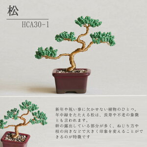 r[Y Lbg ˂Ė~̓Lbg ō邩킢 ~ ~L MIYUKI r[Y lWbeBONSAILbg |  {  S H 炸 ͂  K  ܂ S  