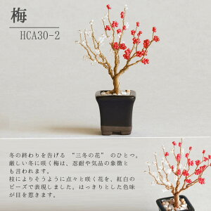 t[  r[Y Lbg ˂Ė~̓Lbg ō邩킢 ~ ~L MIYUKI r[Y lWbeBONSAILbg |  {  S H 炸 ͂  K  