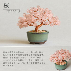 r[Y Lbg ˂Ė~̓Lbg ō邩킢 ~ ~L MIYUKI r[Y lWbeBONSAILbg |  {  S H 炸 ͂  K  ܂ S  