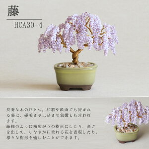 r[Y Lbg ˂Ė~̓Lbg ō邩킢 ~ ~L MIYUKI r[Y lWbeBONSAILbg |  {  S H 炸 ͂  K  ܂ S  