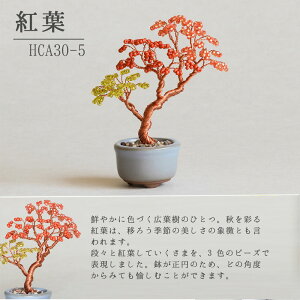 [  lWbeBONSAILbg r[Y Lbg ˂Ė~̓Lbg ō邩킢 ~ ~L MIYUKI r[Y |  {  S H 炸 ͂  K  