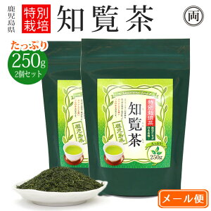 m Ղ250g×2 v500g ʍ͔| [ t w_  w엿  sgp ̂̓yꂽ    쎭Y ̗ǎȒt F    ̊