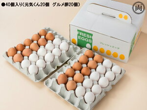 _꒼ C×O ~bNXlߍ킹 40 mY Y{{ { ͂ TKG jg ɂƂ ܂ Ԉ{{