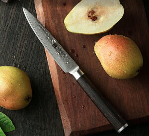 yyeBiCtz  ؓ 傫 { H ؗ  ƒp ƒ  Lv iCt    ʕ t[c  ׍H ؍ ӂ @  l d v ؂ꖡ t`i