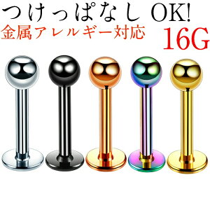 yVvCYxXgȃ{fBsAXz sAX  ɏ ςȂ sAX lW  sAX  {fB Vv ZJh 16G ڗȂ p T[WJXeX