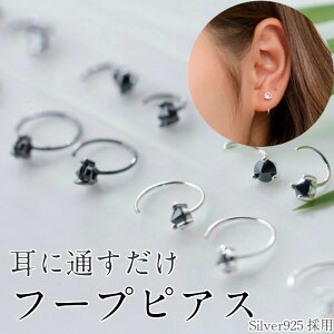 小さい フープピアスの人気商品 通販 価格比較 価格 Com