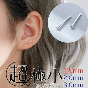 VvsAX dp Vo[  sAX ɏ ~j Vv ςȂ  Silver925 AM[Ή A  20G {fBsAX  wbNX gKX X^bhsAX