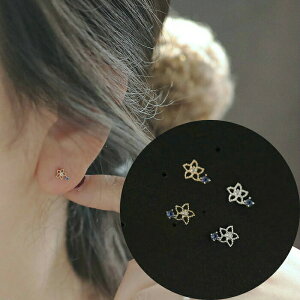 yRYS̃OZ[IԂ̃sAXz  sAX Silver925 Vo[ S[h  l Vv i VvsAX sAX d dp Vo[sAX l̃sAX iȃs