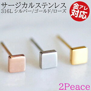 XNGAsAX ×pXeX 316L Vo[ S[h [Y Vv ςȂ VvsAX ςȂsAX AM[Ή sAX T[WJXeX