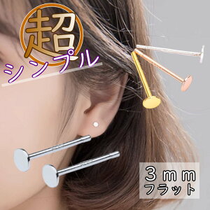 sAX 3mm ςȂ  ɏ Vv  AM[ Vo[  ~j Vo[925 AM[Ή 20G dp sAX ɏsAX ςȂsAX VvsA