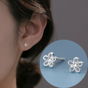 sAX t[  Vo[Xg[  Vv  AM[ Vo[  ~j Vo[999 AM[Ή 20G dp sAX VvsAX ZJhsAX 