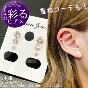軟骨 ピアス シルバー925の人気商品 通販 価格比較 価格 Com