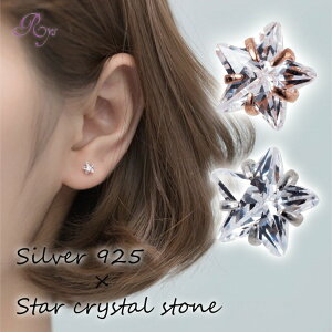 X^[ sAX Silver925 Vo[ S[h NX^ Jbg  AM[Ή AM[Ή A l  NA  2{ Vv VvsAX t@[XgsAX