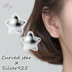 sAX X^[  ςȂ  ɏ Vv  AM[ Vo[  ~j Vo[925 AM[Ή 20G sAX ɏsAX ςȂsAX VvsA