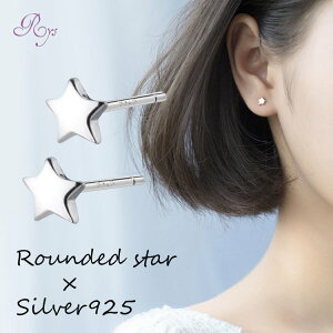 sAX X^[ ςȂ  ɏ Vv  AM[ Vo[  Vo[925 AM[Ή 20G dp sAX ɏsAX ςȂsAX VvsAX 