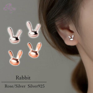 sAX   rbg Vv  AM[ Vo[  Vo[925 AM[Ή 20G dp sAX sAX rbgsAX VvsAX ZJh