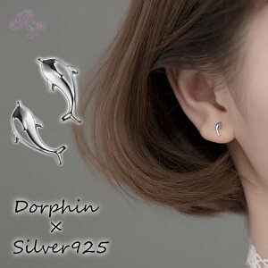 sAX CJ ςȂ  Vv  AM[ Vo[  Vo[925 AM[Ή 20G dp sAX CJsAX ςȂsAX VvsAX 