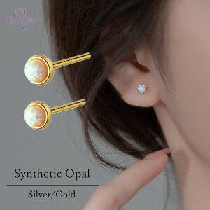 sAX Ip[  ɏ Vv  AM[ Vo[  ~j Vo[925 AM[Ή 20G dp sAX Ip[sAX ςȂsAX Vvs