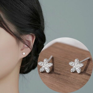 sAX  t[  Vv  AM[ Vo[999 AM[Ή 20G dp sAX VvsAX ZJhsAX