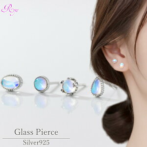 Iׂ4̐HEH[^[OXsAX hbvsAX Vo[925 AM[Ή Vv sAX fUC fB[X  Y H  OX KX 