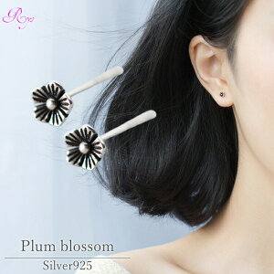 y~̉ԃsAXz Vo[925 AM[Ή sAX Vv  t[ ~ ~̉ ~ vubT VvsAX ςȂ i 4mm 20 30 40 50 60