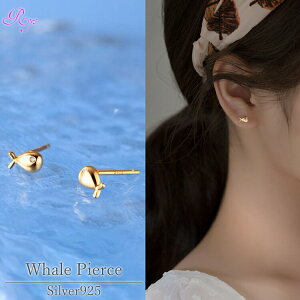 yNW̃sAXz Vo[925 L[rbNWRjA sAX  ~  sAX VvsAX  Vo[ S[h