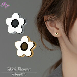 yԂ̃sAXz Vo[925 sAX AM[Ή 20G  t[ Vo[ S[h Vv   fB[X  킢