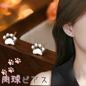 yVo[sAXz  L Vo[999 sAX AM[Ή Lbg hbO Vv   킢 fB[X   Y