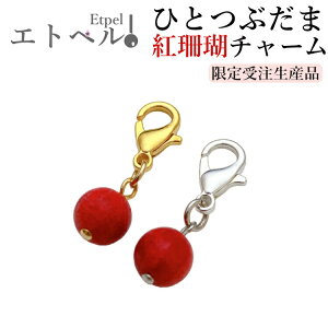 yK̍gX`[z R[`[ ԎX }XN`[ bhR[ `[ AtJTS Vo[ S[h ANZT[ L[z_[ ꗱ