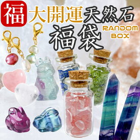 【開運祈願！天然石たっぷりセットの福袋】 天然石 パワーストーン 福袋 11点入 ハッピーバッグ 開運 祈願 さざれ 金運 恋愛 運気上昇 ギフト プレゼント 贈り物 DIY オルゴナイト タンブル カービング ポイント 水晶 ハート クォーツ クリスタル 福箱 送料無料