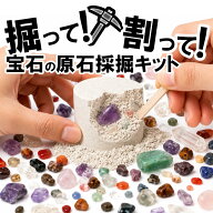 【しらな石】天然石専門店の宝石原石採掘キット 6個 大人向け 子供向け 天然石 パワーストーン コレクシ…