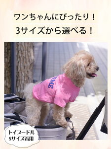 y[֑Ήzybgpi ybg pi  G  hbOEFA hbO ybgObY p Lo  hbOEFA TVc ĕ     yAbN ybgpi 