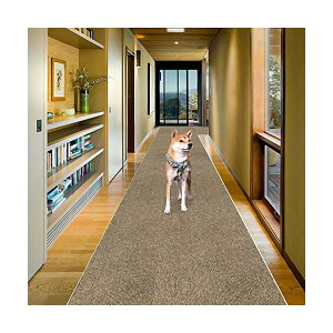 J[ybg O L J[ybg^CJ[ybg L~J[ybg 240 60cm O}bg J[ybg~ߏ J[ybg O~ t}bg 􂦂 h ~ }bgL