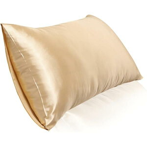 VNJo[ VN Jo[ ̃_[WhA┯ɗD 炩ŏ_炩AK ⊴ BROWN