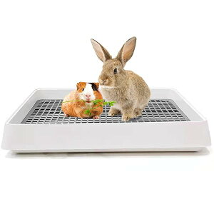 bg gC lp  gC 傫 bVXmR pgC ^ ETMpi  Ȃ݉ 38×31cmyLXy[XKɁz