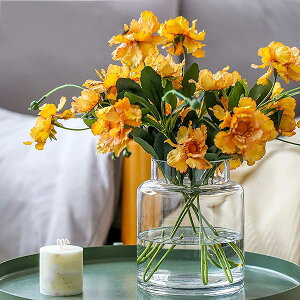 ガラスの花瓶 透明 大 花器 フラワーベース ガラスベース ガラスボトル アレンジ インテリア 水栽培 生け花 造花 おしゃれ シンプル インテリア (クリヤ-小(高さ:18cm))