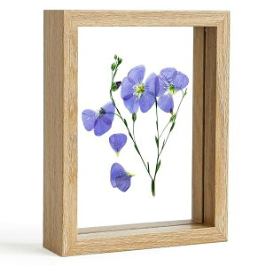 ʐ^ 2L tHgt[ KX AeB[N i` DIY  W{ cu u p  ʐ^t[ 178mm×127mm Mtg v[gig̉Ԃ͌{łj