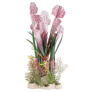 p lH i lH CAEg ANZT[ ٓ ANAE   Ϗ܋ Mы  ঒ ٓ \zA sN