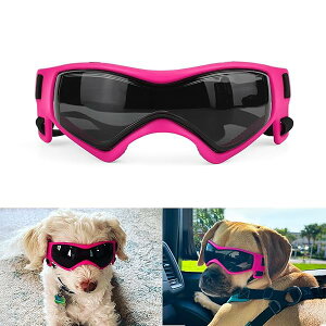 hbOS[O ^p, pTOX UVJbg  ^p AEghA, 