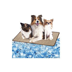 ybg Ђ}bg  L N[}bg 40×50cm  Ђ p }bg  M M΍ ڐG⊴ p Lp xbh ObY (uE)