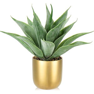 tFCNO[ CeAO[ AKx lH ϗtA A  A ^ GAvc NX}X ItBX X    (1, 33CM)