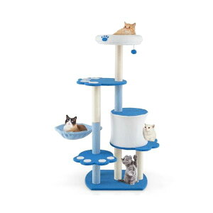 Lbg^[ 137cm lR^[  L^[ 킢 傫ȃvbgtH[ W] ܂Ƃ|[ nbN {{t  ^s L L̗V