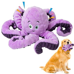   ʂ Ђς ̂ pʂ v 傫  lC  pߋ mߋ ?ނ ŋ Ȃ ^s XgX q ^ 