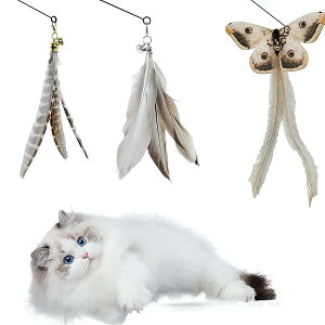 �L �������� �H �����p �L����炵�L�̂������� �H�� �ފƁi1�{�j�����p�H��(3�_�j