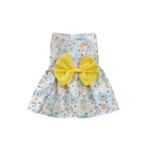  s[X t hX   lC ĕ ybg XJ[g   ʋC hbOEFA t@bV ybgEFA L m ^ p Lp U o