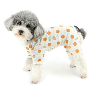  t  p Ȃ p[X ^  킢 ʕ pW} Jo[I[ DOt    QԒ _炩 ʋC ybg hbOEFA m XgCv 