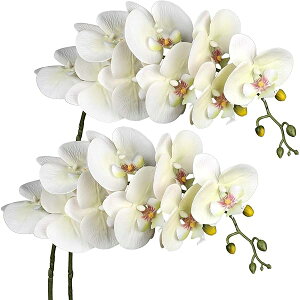  Ӓ  dp  73CM 2_Zbg ~ ފ  ͂Ȃ V{t[ tFCNt[ A  CeA ̉ 2_Zbg (2_, 73CM)