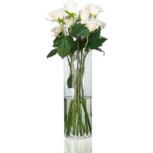 ԕr Ȃ,݂̂ԕr,Ԋ,rOAQAItBXȂǂ̑ɓKĂ܂ (40x10CM)