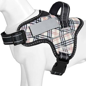 y{挢n[lXz p ^/^/^n[lX ΍ AɗD ȐF ʋC SȂ l[v[g 7FI(x[W`FbNAL)