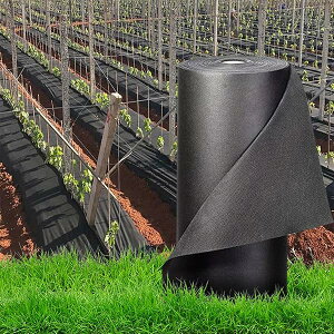 ό hV[g 8`12Nϋv 240g/m2 Gh~V[g ϋv lHŉ 10`14N 򉻖h~ GΉ ϐEόEϕHɗD sDzV[g悯V[g UVܓ Gh